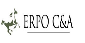 ERPO C&A