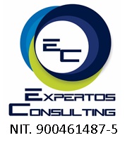 expertos consulting