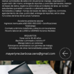 Organizacion Empresarial Colsultech