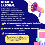 CONSULTECH